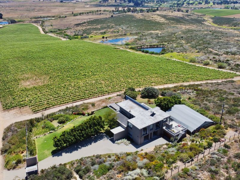 106ha luxury farm with architect designed home for sale in the Winelands!! - Photo 5