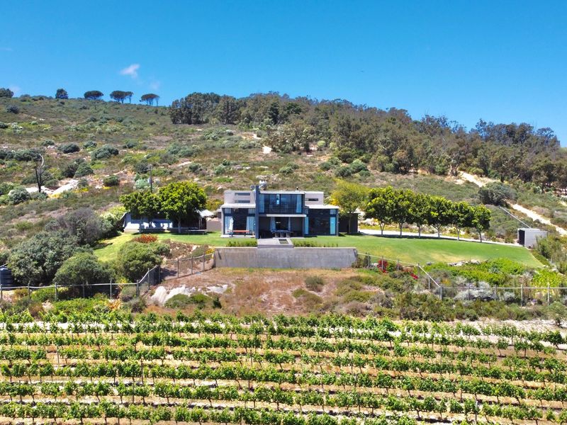 106ha luxury farm with architect designed home for sale in the Winelands!! - Photo 9