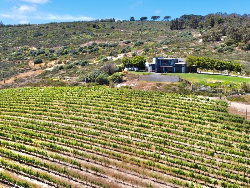 106ha luxury farm with architect designed home for sale in the Winelands!! - Photo 6