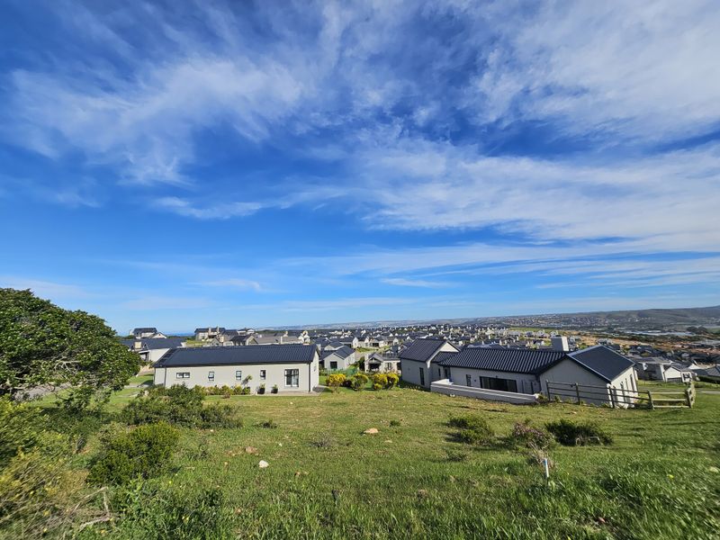 An elevated view of a modern residential estate featuring homes with pitched metal roofs set within a landscaped coastal environment.