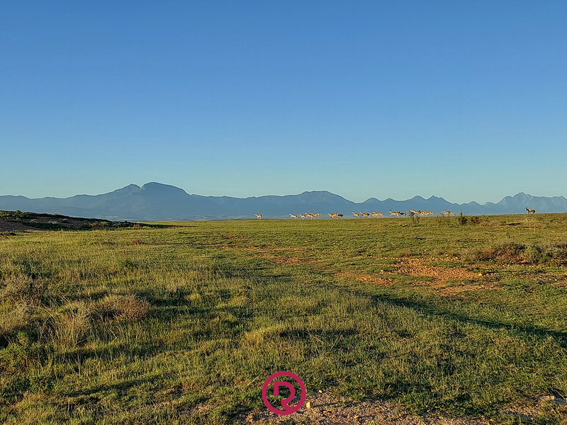 Where Views, Privacy & Opportunity Align - Photo 4