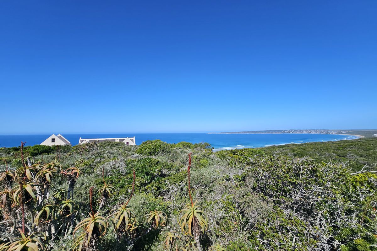 A scenic elevated view overlooking coastal vegetation with a clear outlook towards the ocean and coastline.
