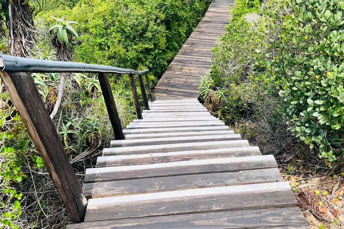 A wooden boardwalk and staircase leading through coastal vegetation towards the ocean, providing direct access to the beach.