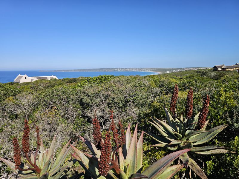 A scenic coastal view overlooking indigenous vegetation with a clear blue ocean horizon and distant residential properties.