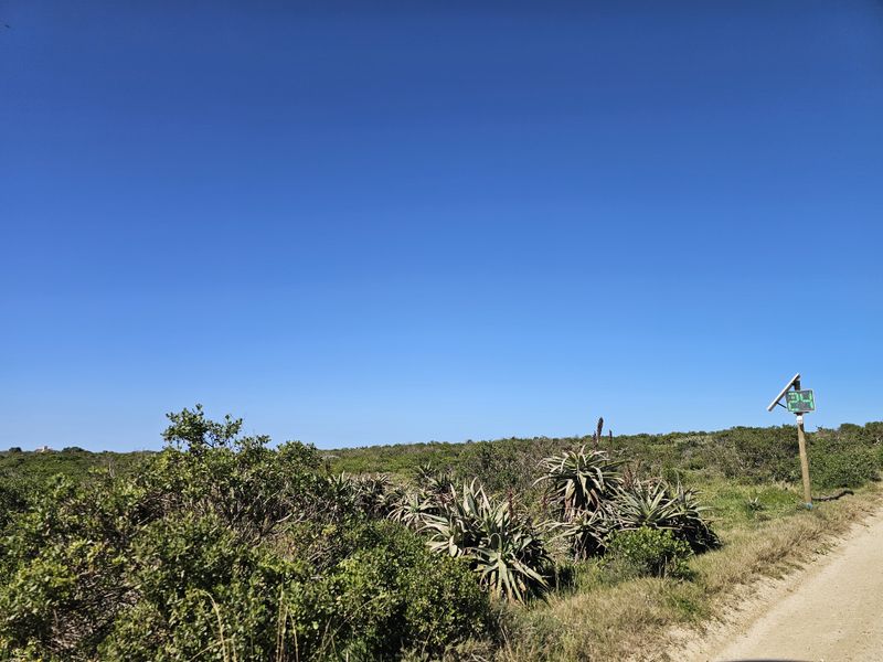 A view of a vacant residential plot featuring natural indigenous vegetation, aloe plants, and access via a dirt road.