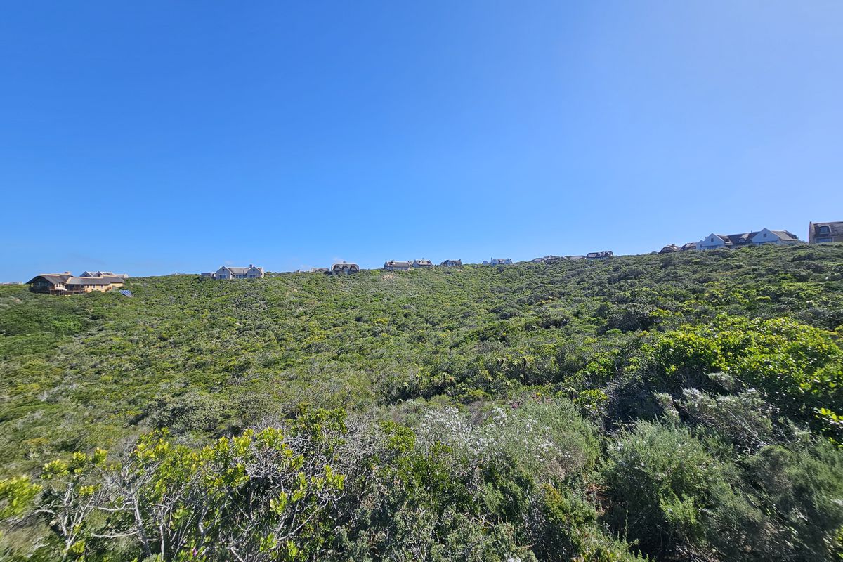 A wide-angle view of the natural landscape and surrounding residential properties, showcasing the elevated position and coastal vegetation of the vacant land.