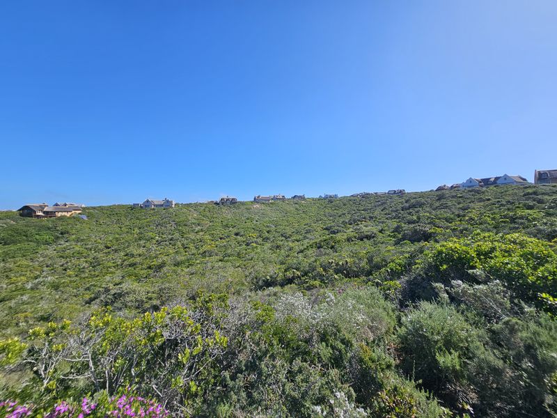 A wide-angle view of the natural landscape and surrounding residential properties, showcasing the elevated position and coastal vegetation of the vacant land.