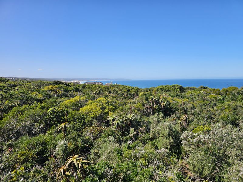 A scenic view of the coastal landscape featuring indigenous vegetation with the ocean visible in the distance.