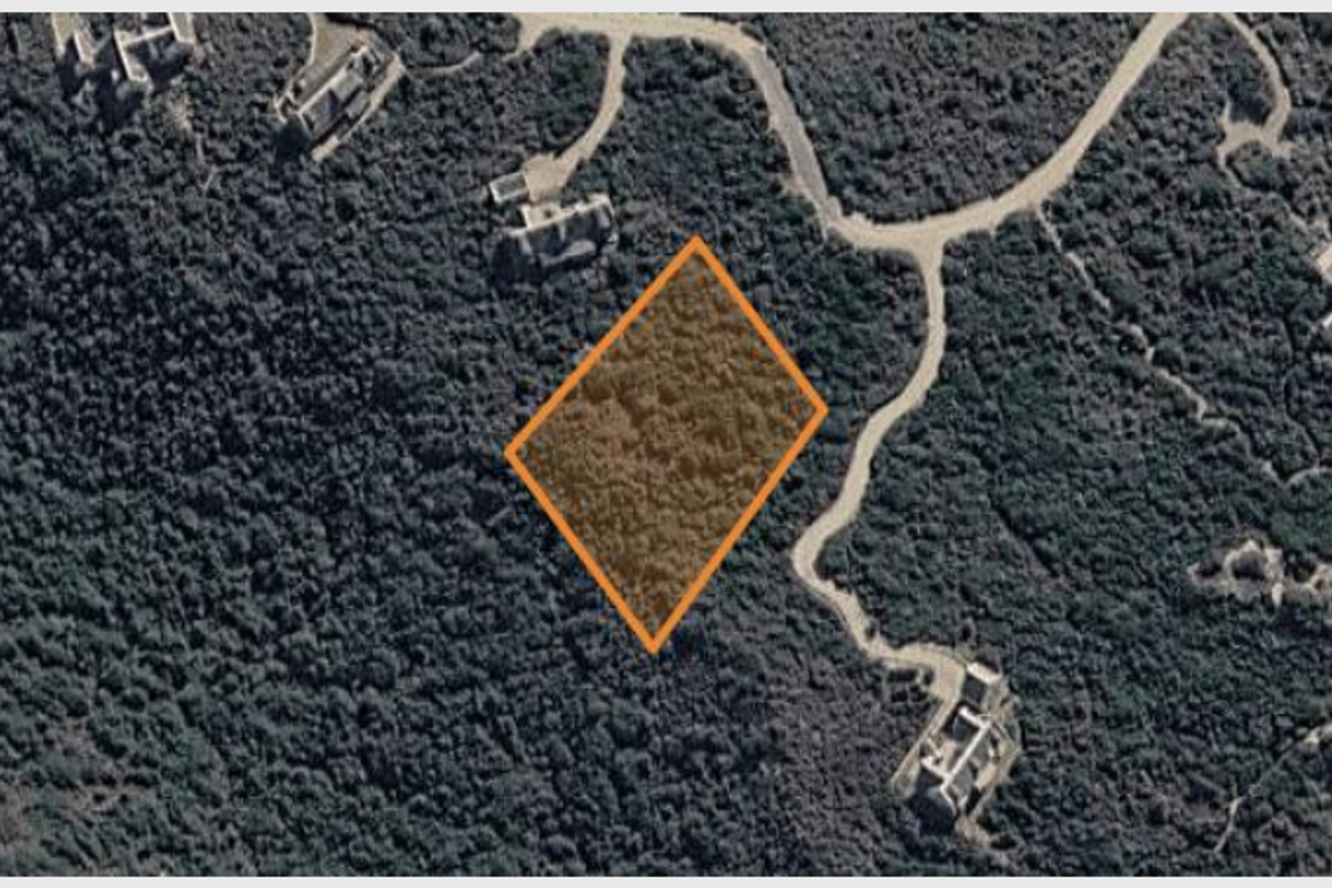 Aerial view of a vacant residential plot surrounded by dense natural vegetation and accessible via a nearby estate road.