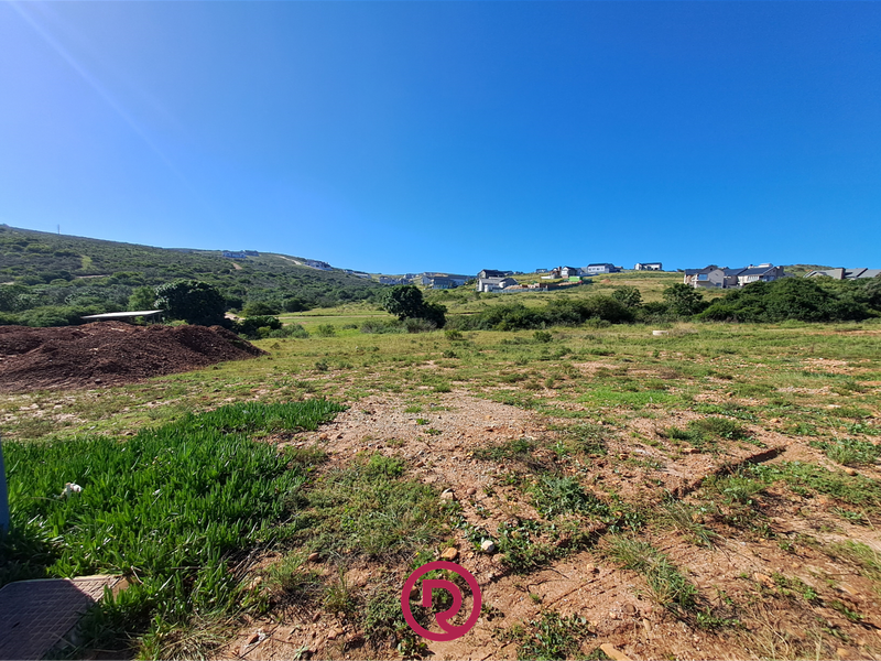 Stylish 3 Bed 3.5 Bath Single-Level Living in Sought-After Outeniquasbosch - Photo 8