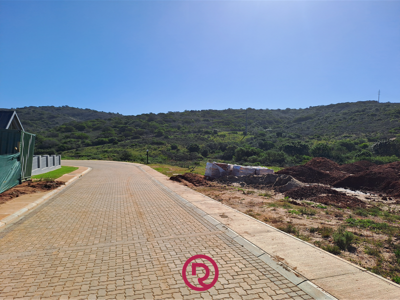 Stylish 3 Bed 3.5 Bath Single-Level Living in Sought-After Outeniquasbosch - Photo 9