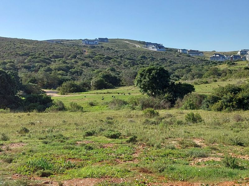 A scenic view of the surrounding landscape and hillside residential properties, showcasing the natural terrain and open space of the estate.