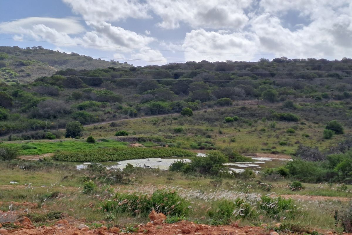A scenic view of the natural landscape featuring rolling hills, indigenous vegetation, and a small pond.