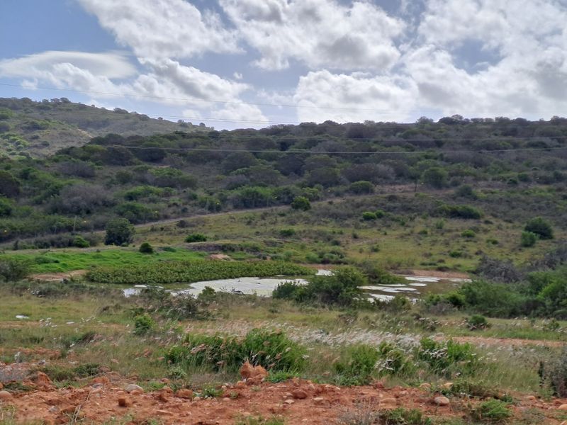 A scenic view of the natural landscape featuring rolling hills, indigenous vegetation, and a small pond.
