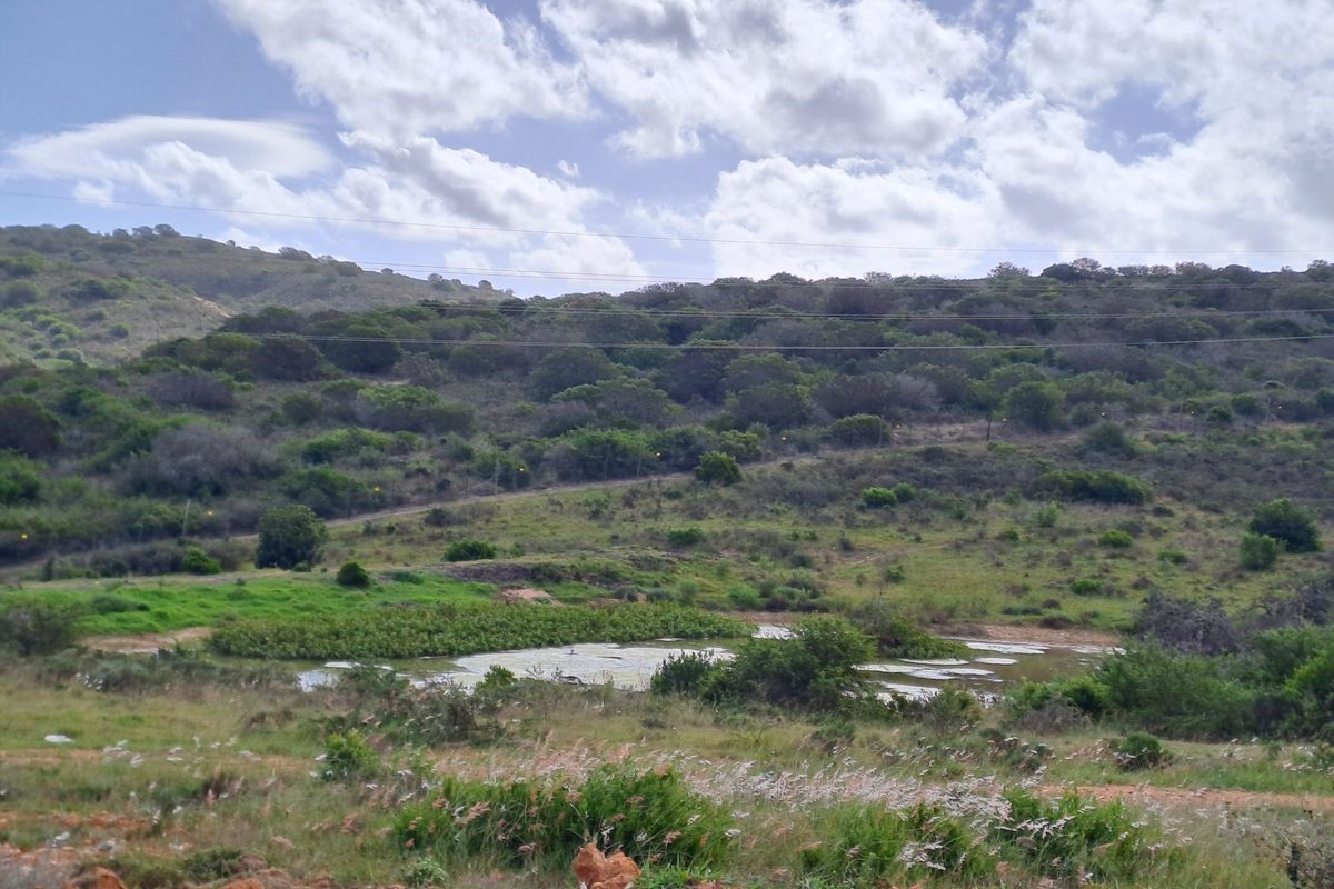 A scenic view of the natural landscape featuring rolling hills, indigenous vegetation, and a small pond.