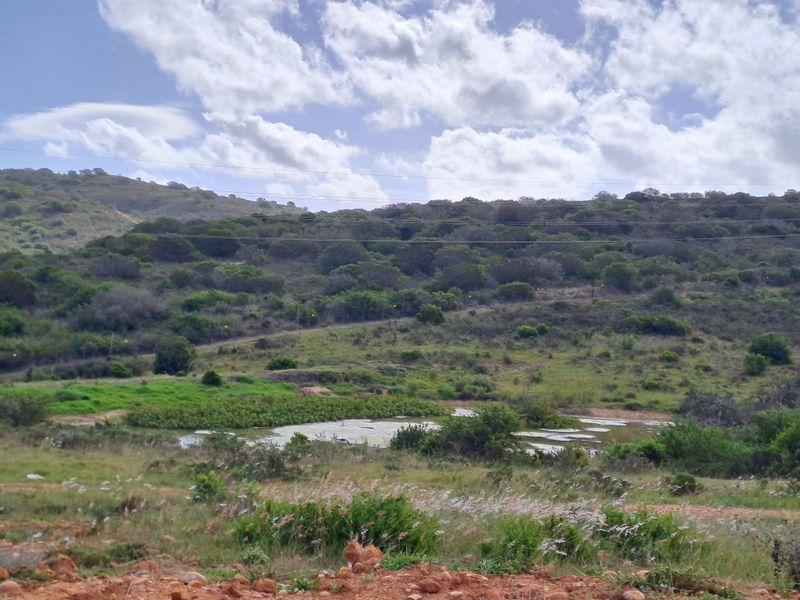 A scenic view of the natural landscape featuring rolling hills, indigenous vegetation, and a small pond.