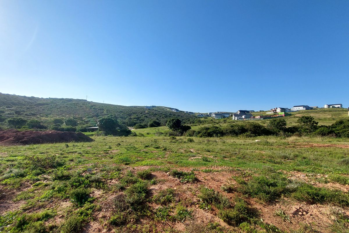 A wide-angle view of an undeveloped plot of land featuring natural vegetation and surrounding hillside landscape.