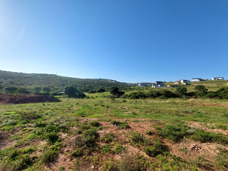 A wide-angle view of an undeveloped plot of land featuring natural vegetation and surrounding hillside landscape.