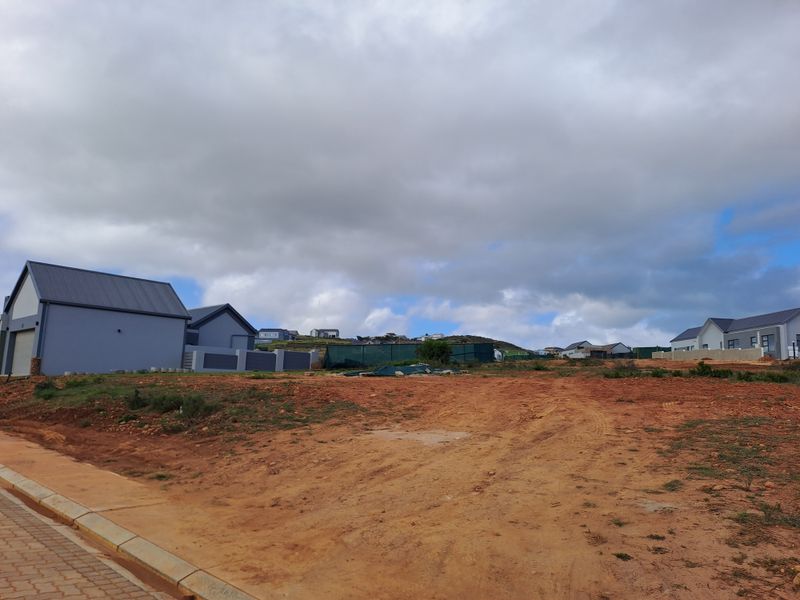 Brand-New 3 Bedroom Single-Level Home in Outeniquasbosch Wildlife Estate - Photo 6