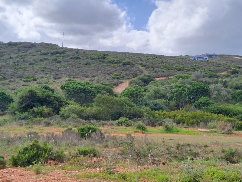 Brand-New 3 Bedroom Single-Level Home in Outeniquasbosch Wildlife Estate - Photo 8