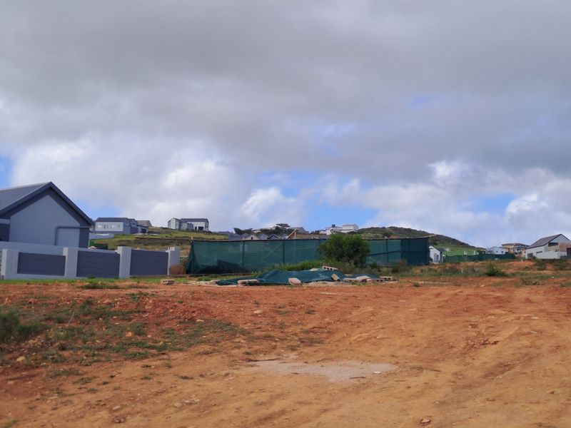 Brand-New 3 Bedroom Single-Level Home in Outeniquasbosch Wildlife Estate - Photo 7