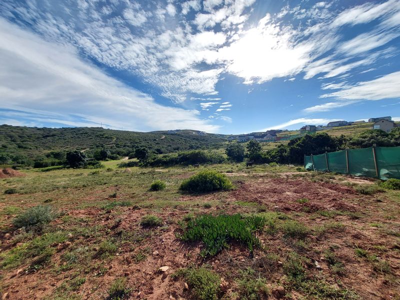 Brand-New 3 Bedroom Single-Level Home in Outeniquasbosch Wildlife Estate - Photo 10