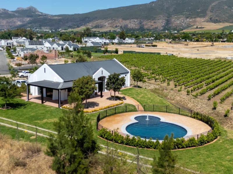 Aerial view of a modern house featuring a covered patio, a swimming pool with a fountain, and surrounding vineyard views.