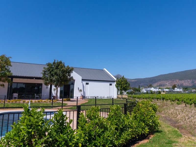 Rear exterior view featuring a swimming pool, paved patio area, and well-maintained vineyard with mountain views in the background.