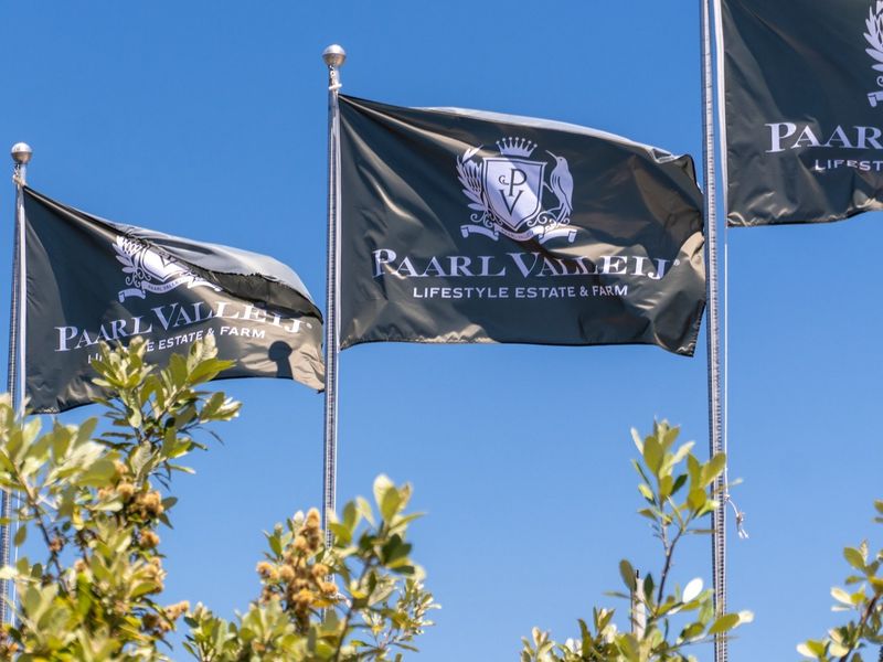 Branded estate flags flying against a clear blue sky, representing the Paarl Vallei Lifestyle Estate and Farm.