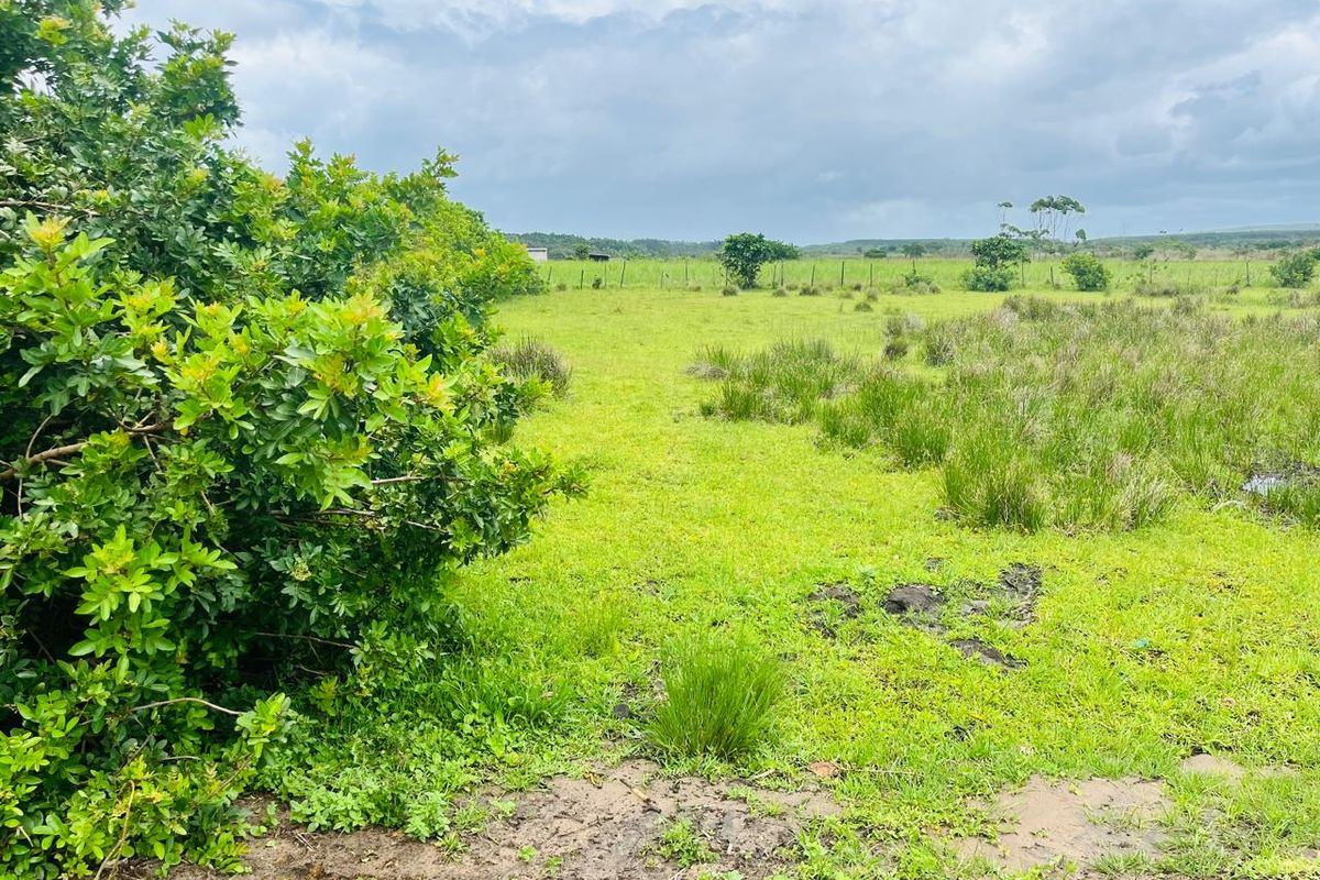 Prime Vacant Land for Development in Port Dunford - Photo 2