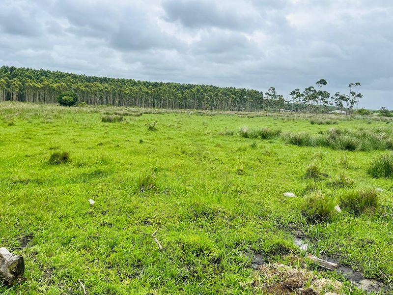 Prime Vacant Land for Development in Port Dunford - Photo 4