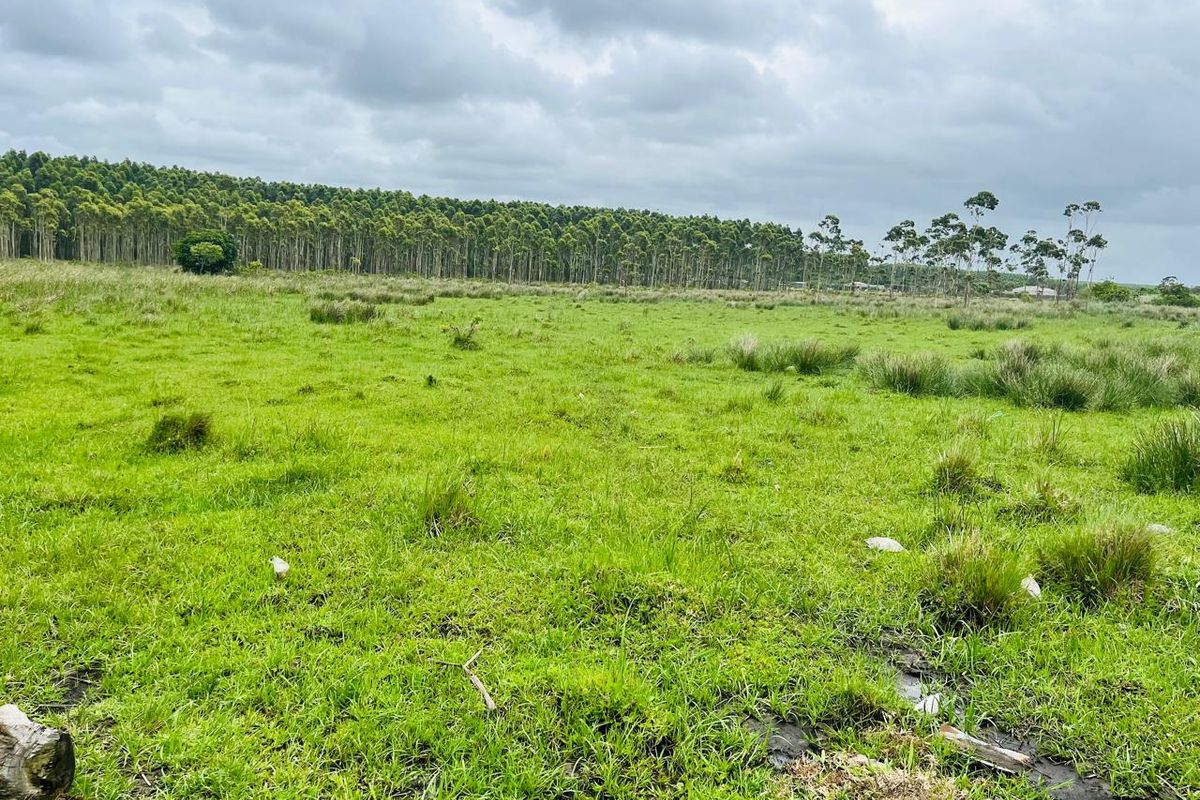 Prime Vacant Land for Development in Port Dunford - Photo 4
