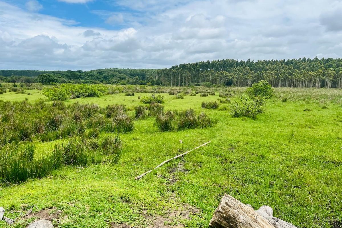 Prime Vacant Land for Development in Port Dunford - Photo 3