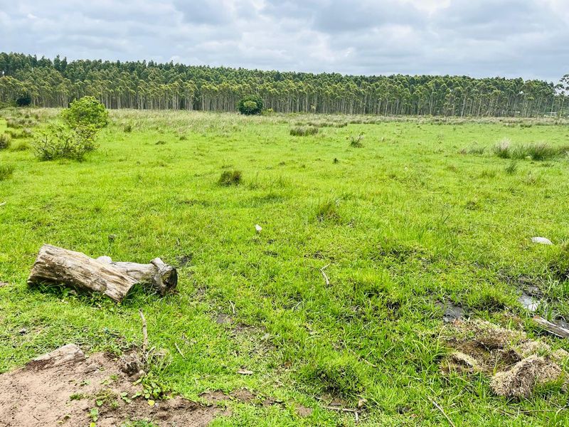 Prime Vacant Land for Development in Port Dunford - Photo 5
