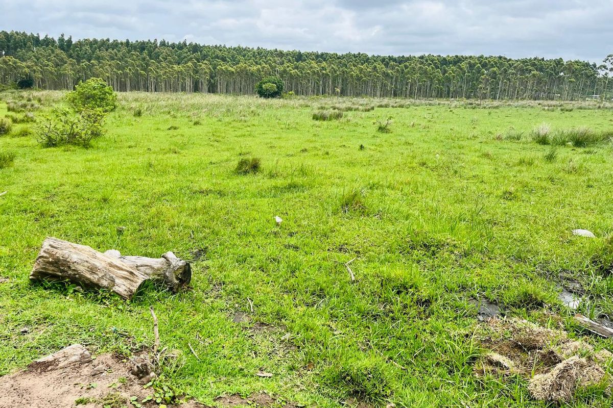 Prime Vacant Land for Development in Port Dunford - Photo 5