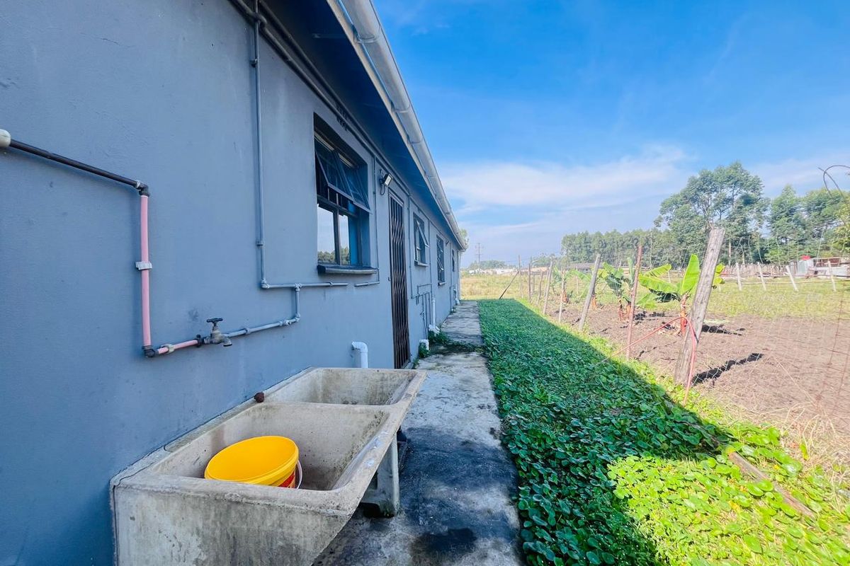 Rear exterior view of the property featuring a concrete laundry trough, exposed plumbing, and a concrete pathway leading along the side of the house.