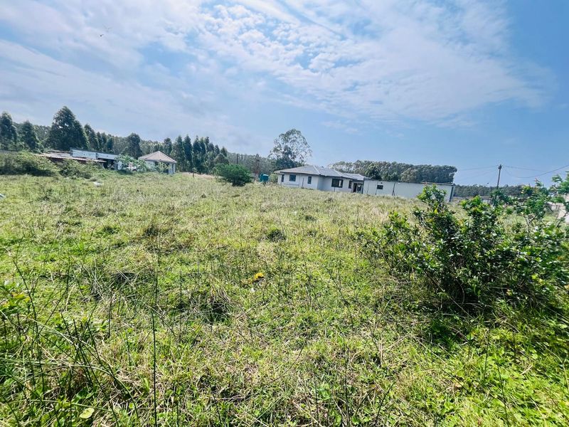 A wide-angle view of a large, undeveloped residential plot featuring overgrown grass and surrounding natural vegetation.