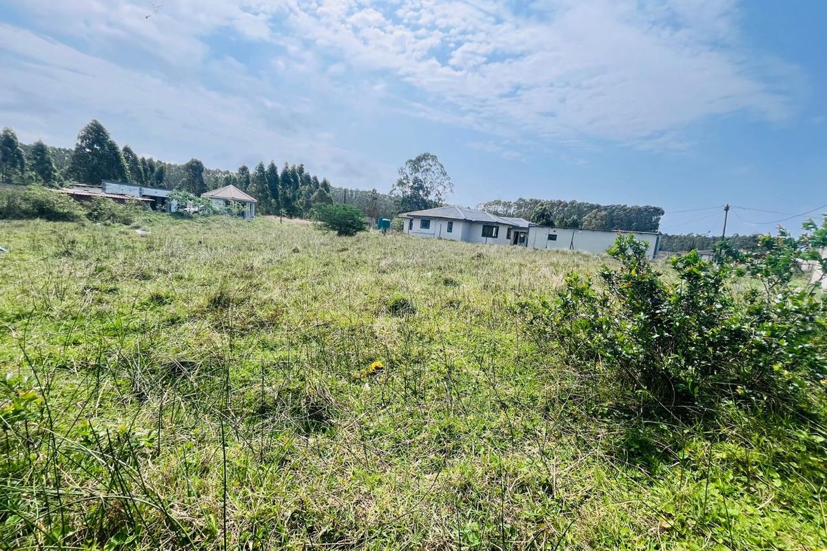 A wide-angle view of a large, undeveloped residential plot featuring overgrown grass and surrounding natural vegetation.