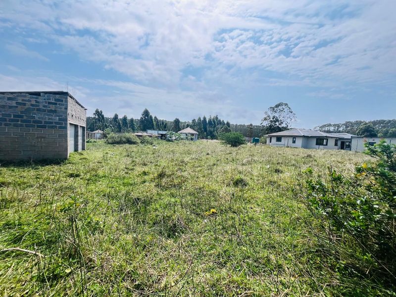 A view of a large, undeveloped residential plot featuring overgrown grass and an existing masonry outbuilding structure.