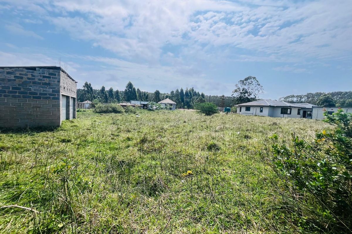 A view of a large, undeveloped residential plot featuring overgrown grass and an existing masonry outbuilding structure.