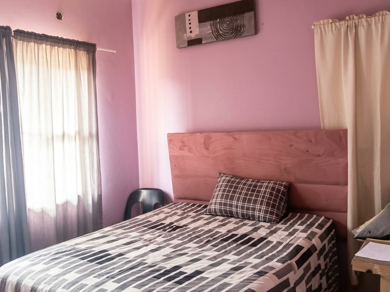A bedroom featuring pink walls, a ceiling fan, and window treatments, offering a functional space ready for personalization.