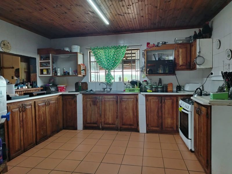 Versatile 1.3ha Smallholding with Established Pig Farming Operation located Just 15km from Empangeni - Photo 7