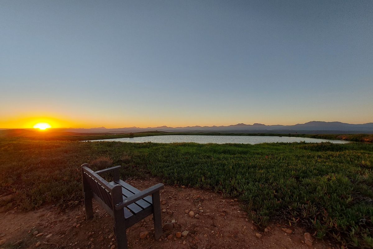 Prime 1503m2 Stand in Outeniquasbosch Wildlife Village - Photo 4