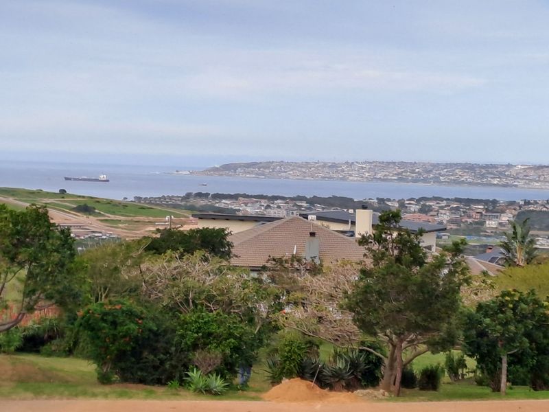 A scenic elevated view overlooking the coastal landscape, surrounding residential area, and the ocean horizon.
