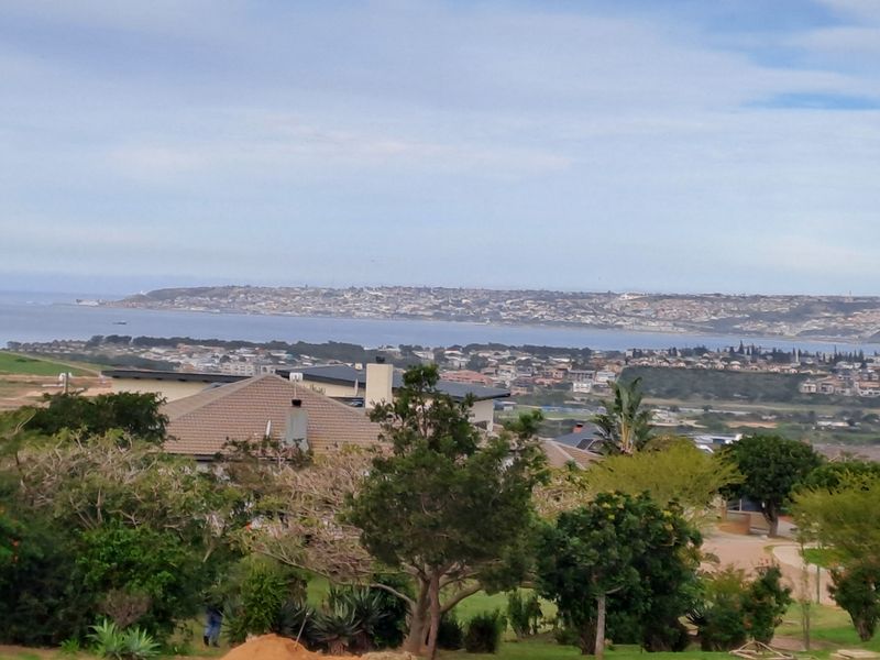 Elevated scenic view overlooking the surrounding residential neighborhood, coastal landscape, and distant bay.