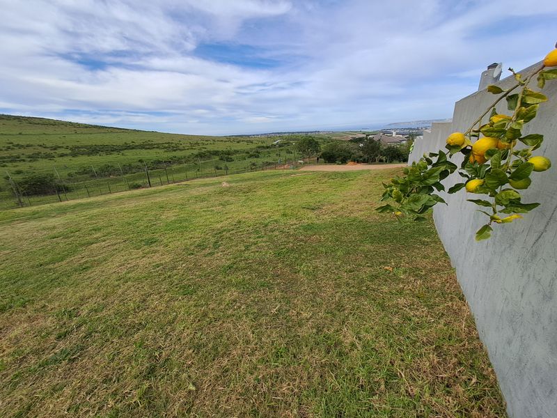 A view of a grassy residential plot featuring a concrete retaining wall and wire mesh fencing, overlooking the surrounding landscape.
