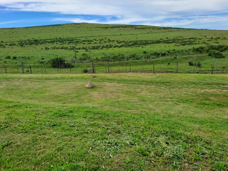 A view of a grassy vacant residential plot featuring wire mesh perimeter fencing and rolling hills in the background.