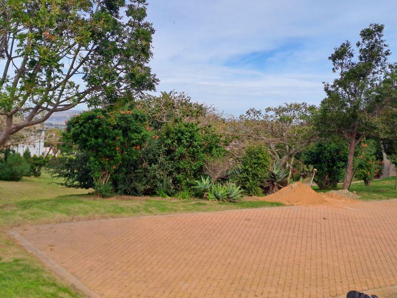 A view of a residential garden area featuring a paved driveway, mature trees, and established landscaping.
