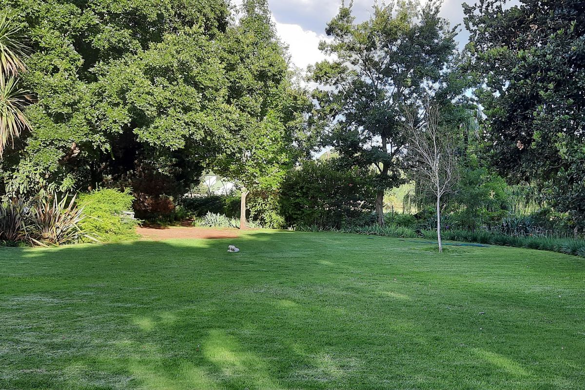 Small holding - for the client that want to stay out of town and farm on a small scale - Photo 5