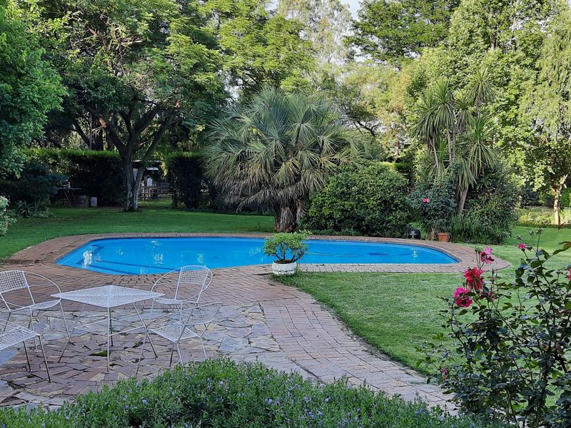 A well-maintained outdoor pool area featuring a paved patio, lush garden surroundings, and mature trees, providing a serene and private recreational space.